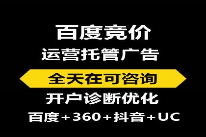 成功案例解析：SEM竞价托管的优化之路
